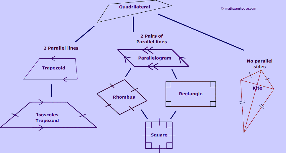 Quadrilateral Family Tree Explore Rules Of Quadrilaterals Their 