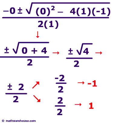 solution 1 and -1